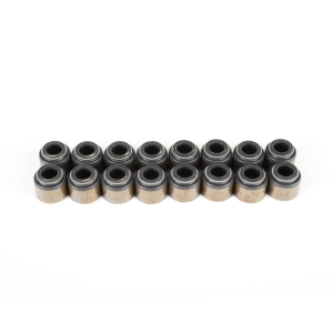 BRIAN TOOLEY RACING LS Valve Seal Kit