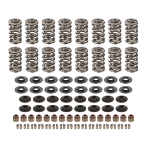 CAM MOTION INC LS Dual Valve Spring Kit Up to .660in Lift