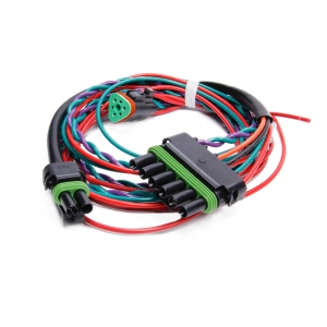 FAST Wire Harness - Six Pin Ignition & Coil