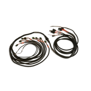 FUELTECH USA PRO550/600 V8 Smart Coil Harness