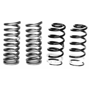 Ford Racing B Lowering Springs V8
