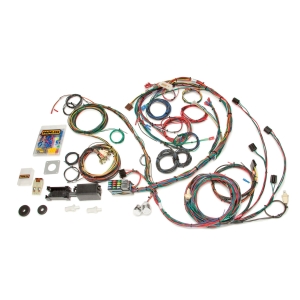 PAINLESS WIRING 69-70 Mustang Chassis Harness 22 Circuits