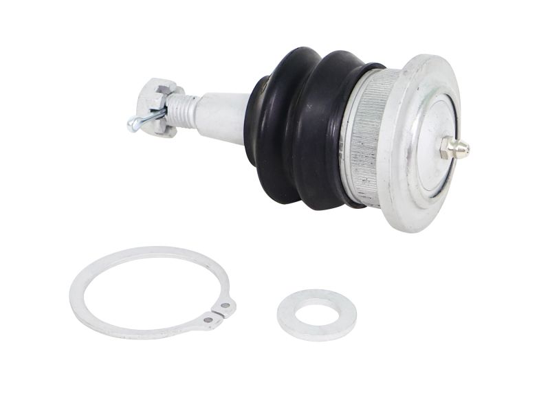 Whiteline 06-22 Ford Expedition Fixed Offset UCA Replacement Ball Joint Kit KSK185