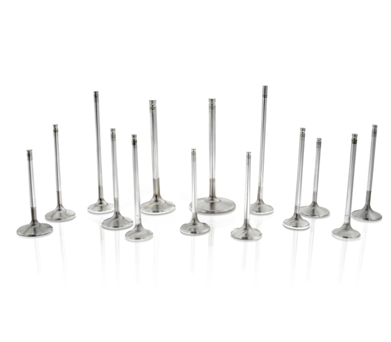 Ferrea Audi/VW BTW 29mm 5.97mm 102mm 24 Deg Flo +1mm Trpl Grv Super Alloy Exhaust Valve - Set of 8