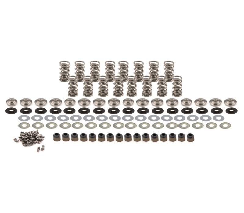 BRIAN TOOLEY RACING Platinum Dual Spring LS Kit Titanium Retainer