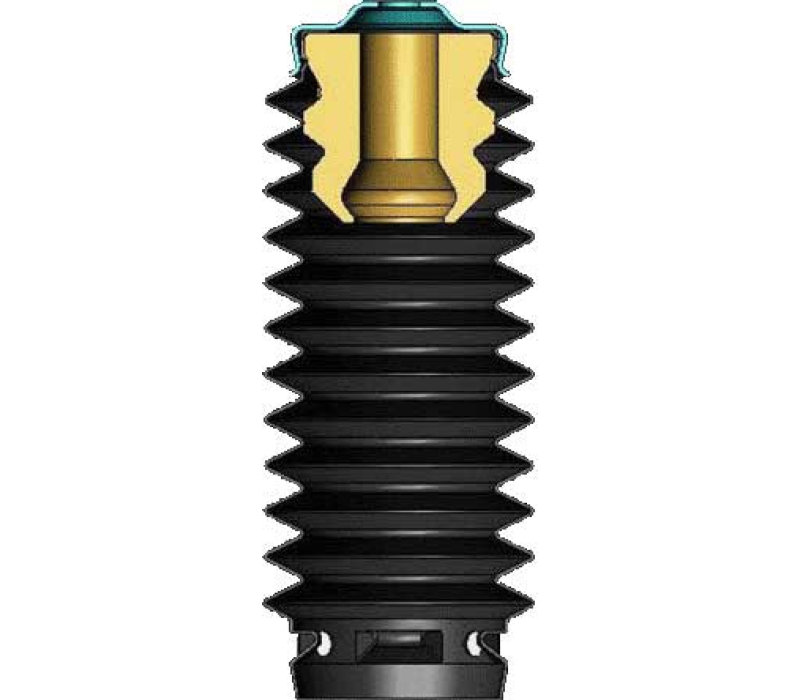 KYB Shocks & Struts Strut Boots Front BUICK Allure 2005-08 BUICK Century 1997-05 BUICK LaCrosse 2005