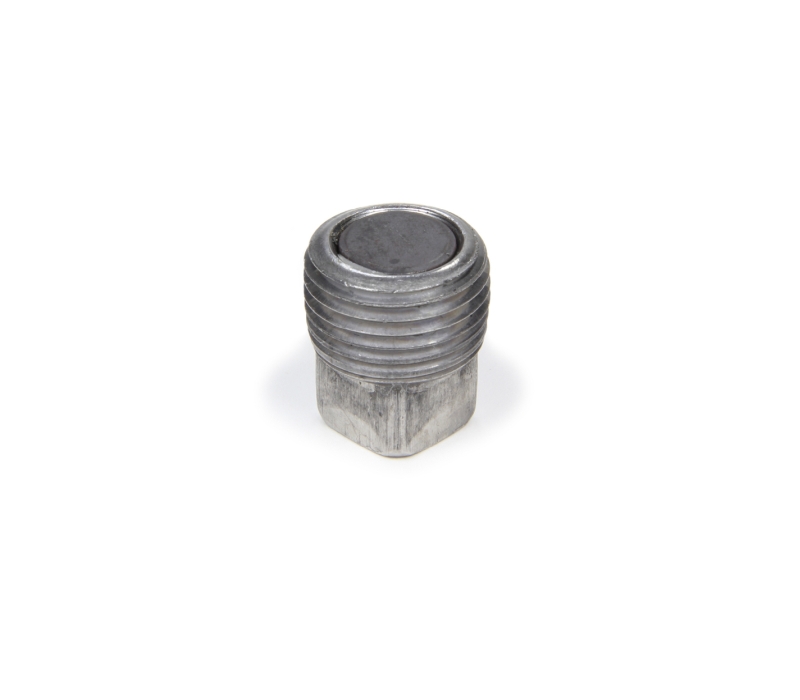 TRANS-DAPT 1/2in NPT Magnetic Drain Plug