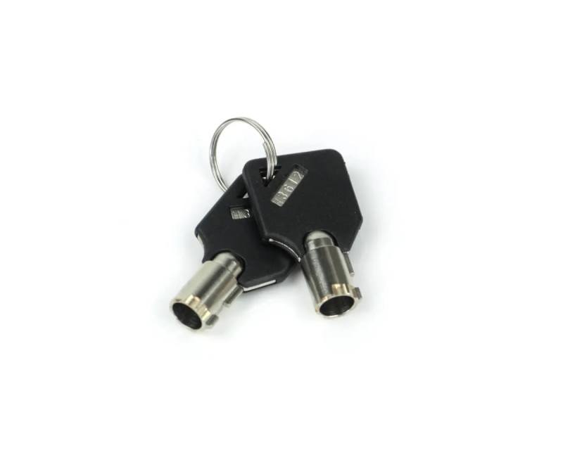 Weigh Safe Keys (Identify Key Code) - Set of 2 ws09