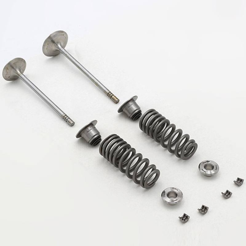 Ford Racing 5.2L Cylinder Head Valve Train Kit m-6505-fp350s image 2