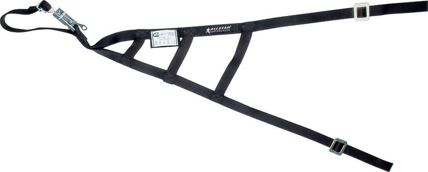 ALLSTAR PERFORMANCE Triangle Window Net SFI all10246