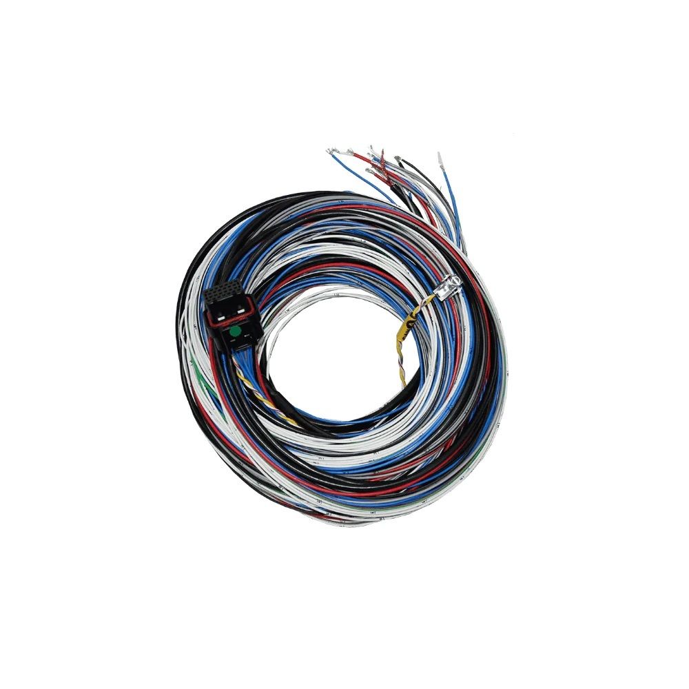 FUELTECH USA FT450/550 A Harness 20ft 2001005570