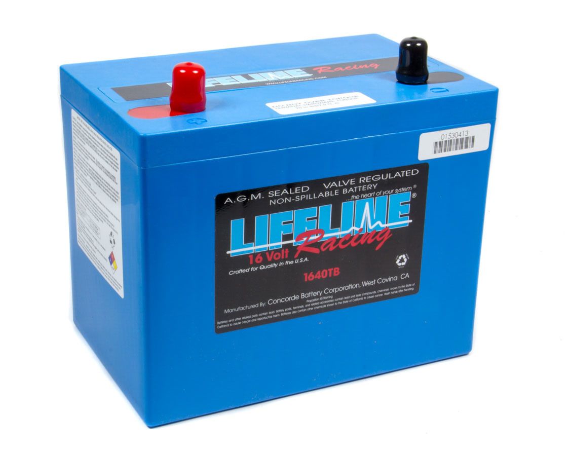 LIFELINE BATTERY 16 Volt 2 Post Battery ll-1640tb
