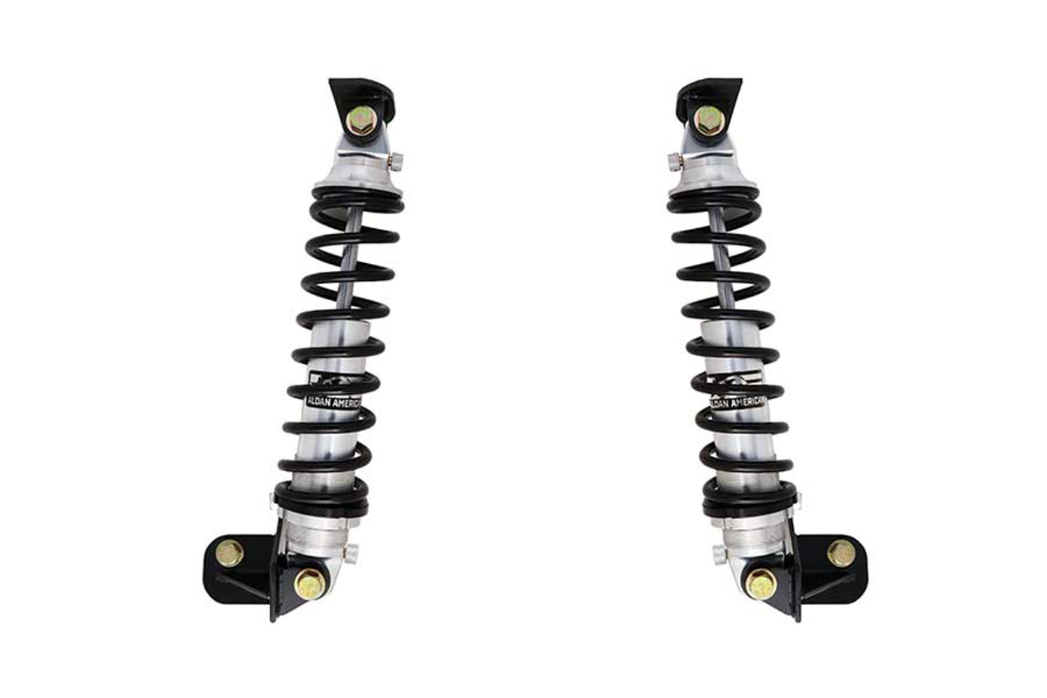 ALDAN AMERICAN Coil-Over Kit GM G-Body Rear Double Adj. 220 lbs. Springs Full Kit Bolt-On agrhd image 4